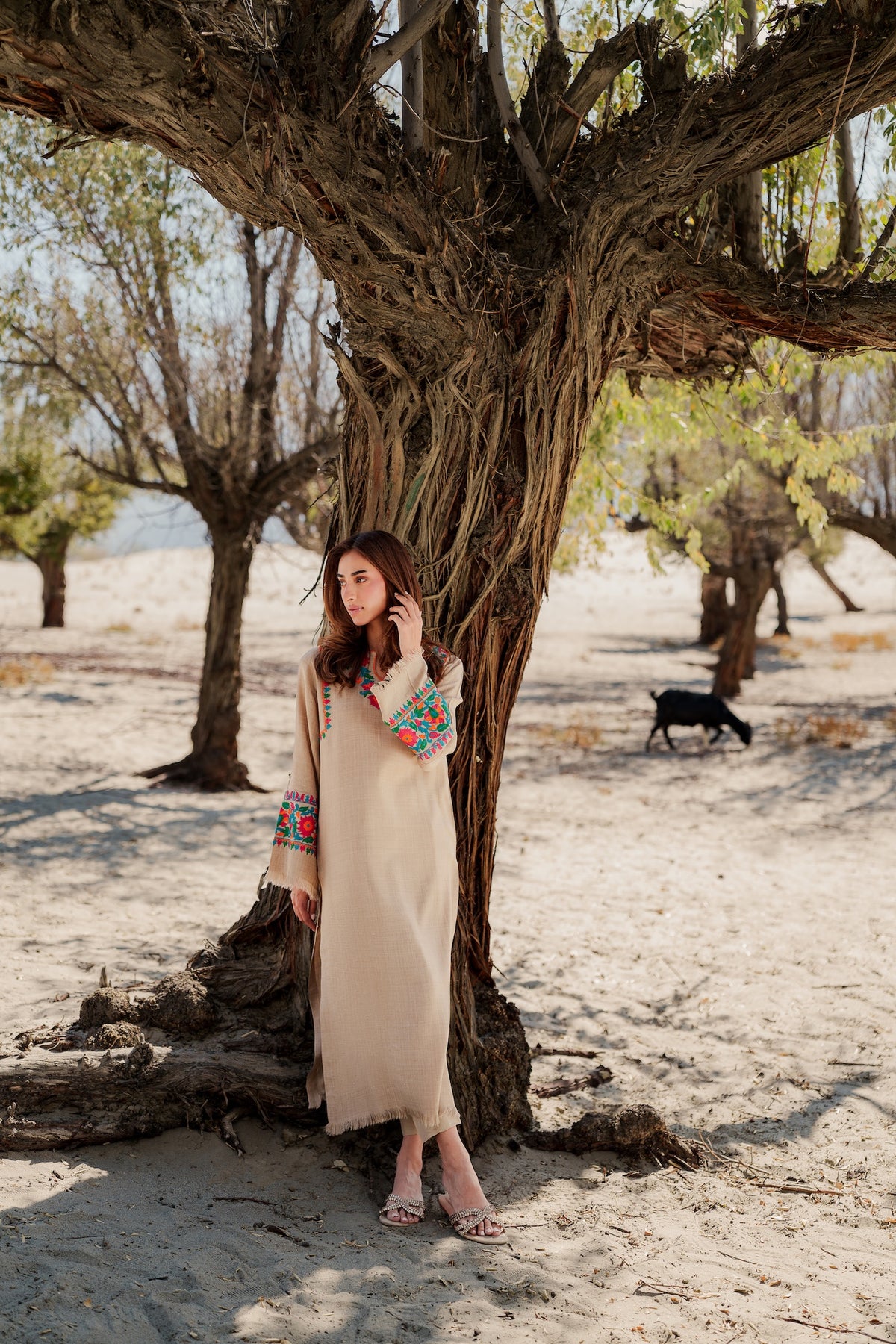 Rumi