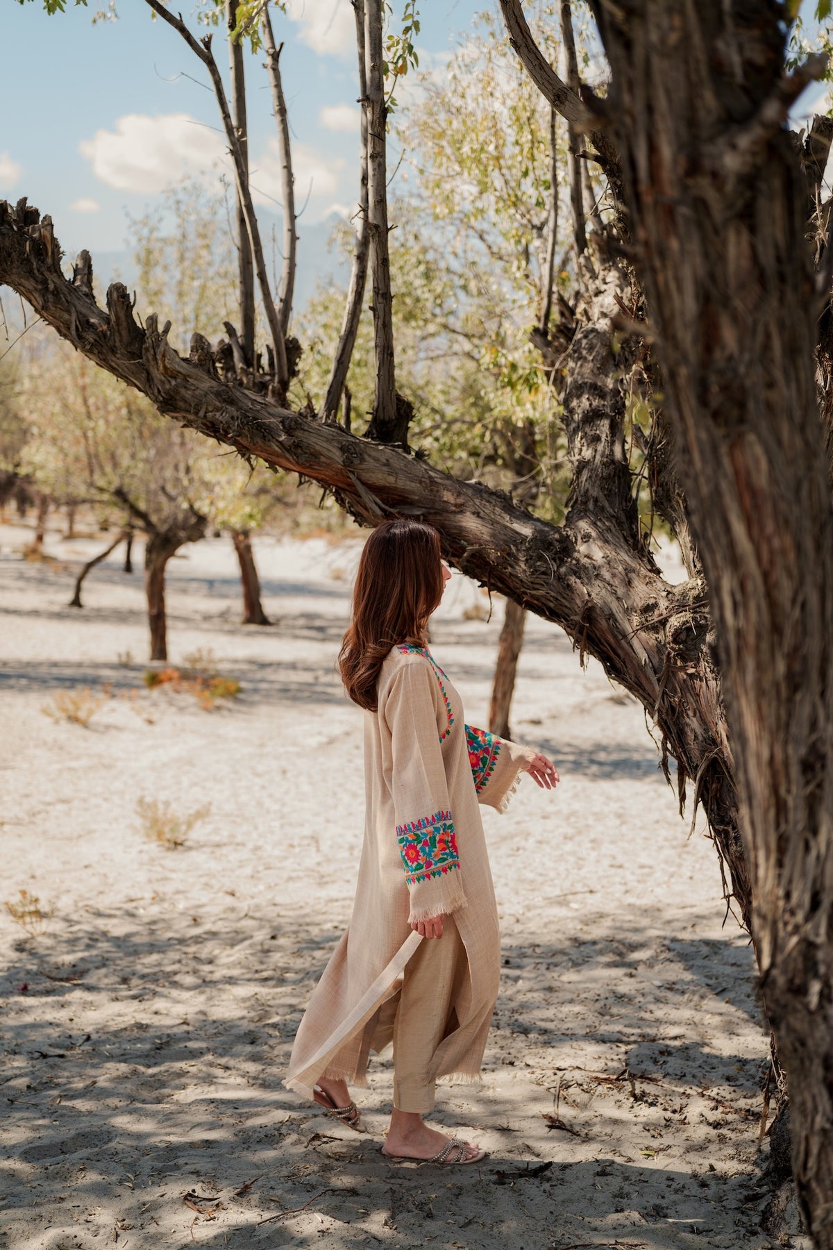 Rumi