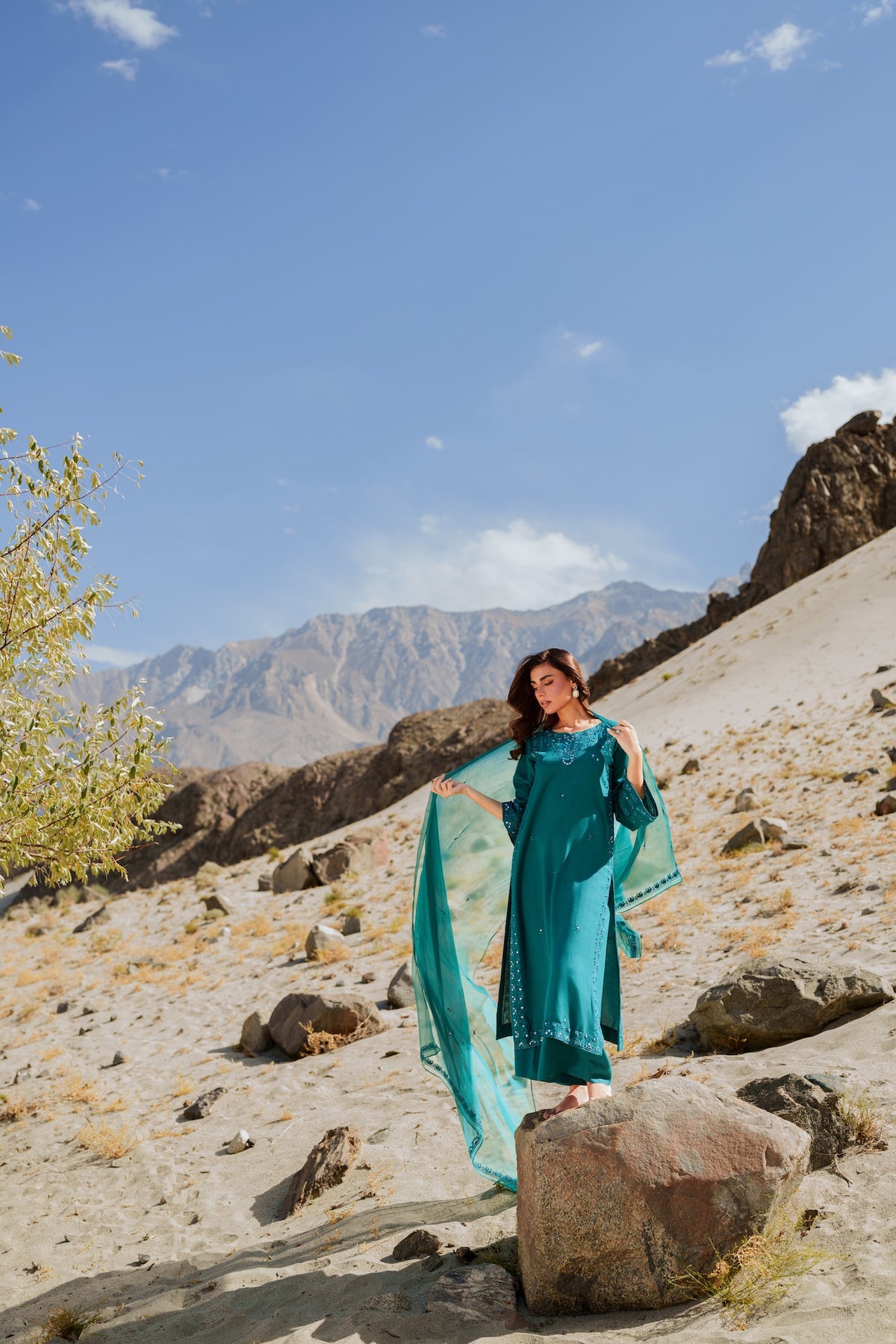 Sohani